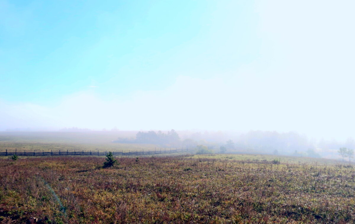 Утренний туман - Мишель71 