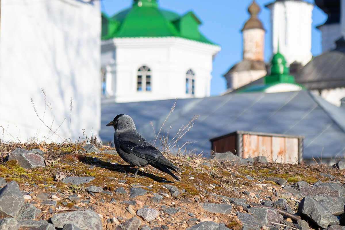 *** - Андрей Дурапов