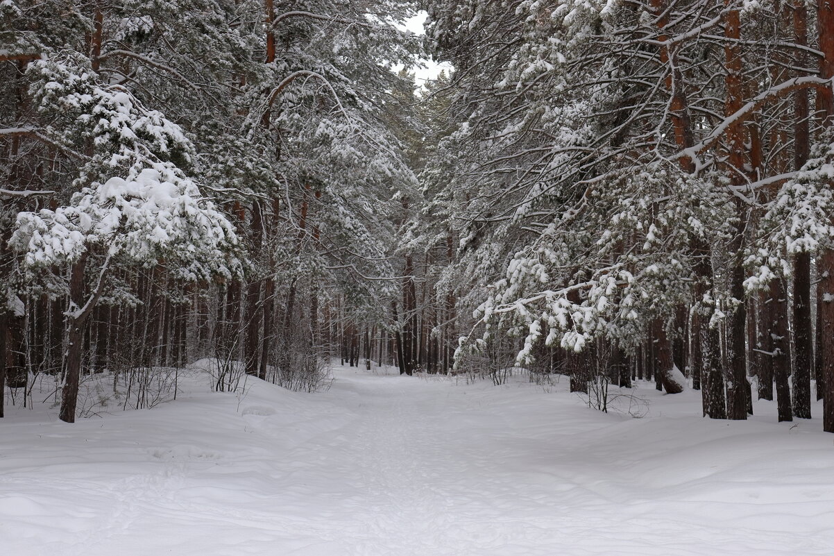 *** - Александр Николаев