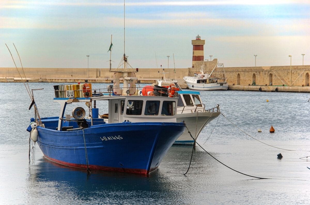 Монополи - skijumper Иванов