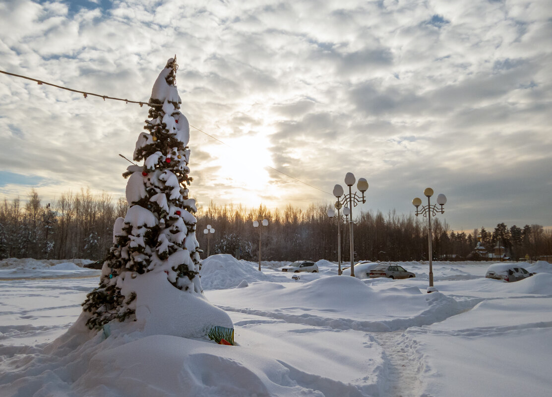 С Новым Китайским Годом! - Сергей Цветков