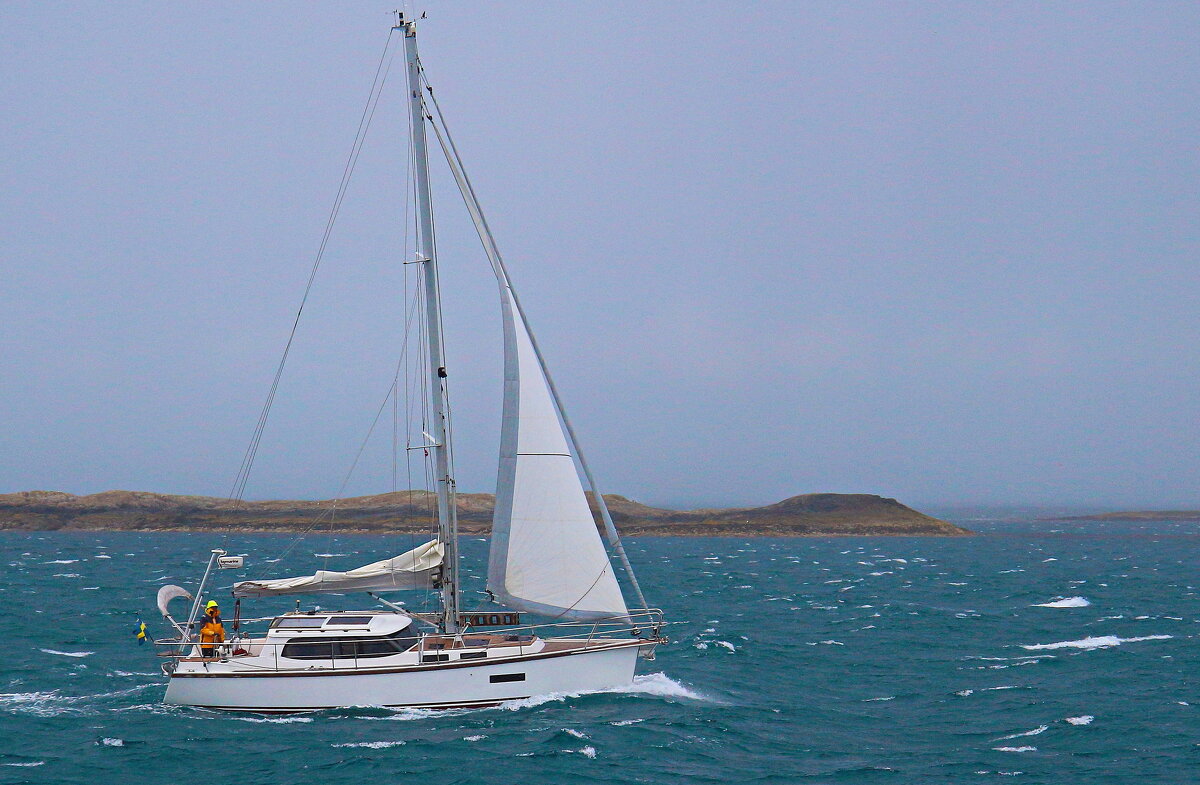Подгоняемая  ветрами парусная страсть - В.И 