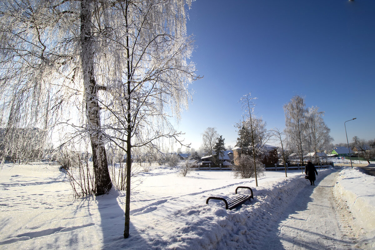 Зимнее, солнечное утро. - Николай 