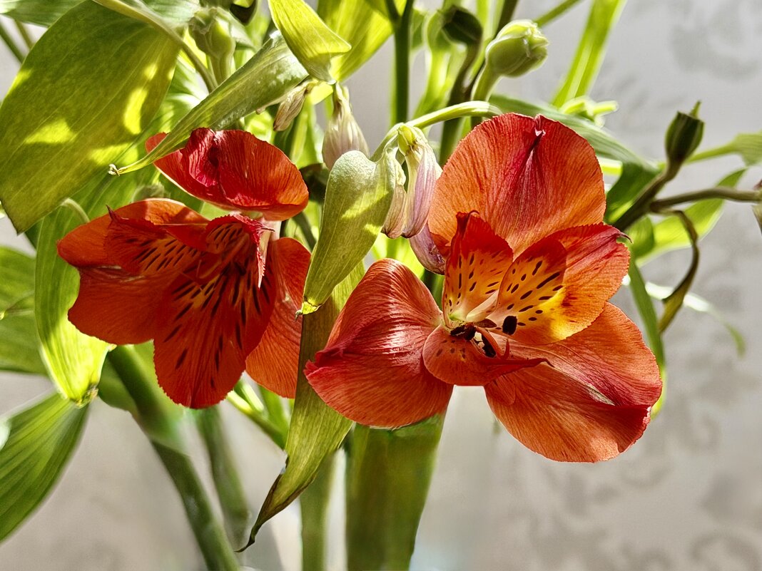 Заряжены энергией цвета! - Любовь 