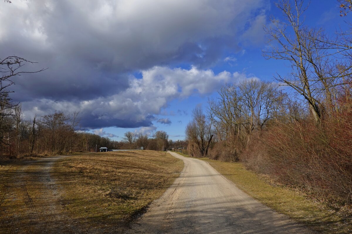 Февраль - самое непостоянное время года... - Галина Февраль - самое непостоянное время года... - Галина
