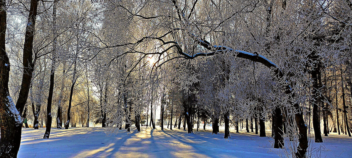 Солнечный день в лесу - Игорь Сычёв