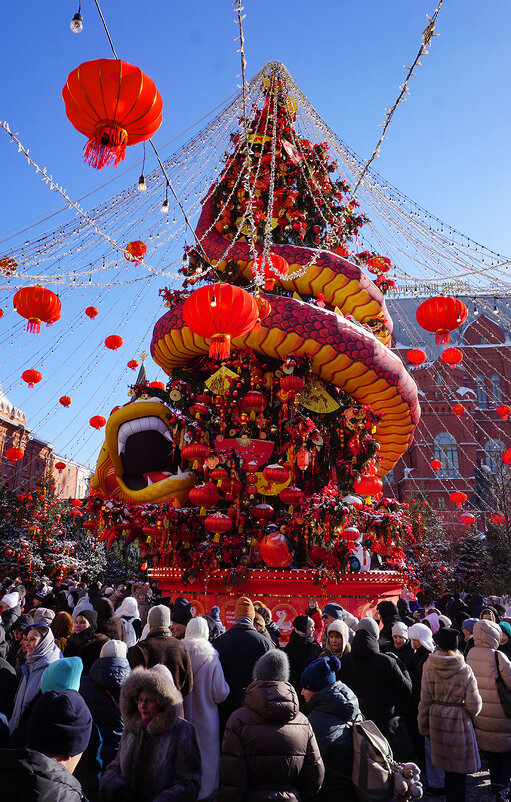 Китайский Новый год - Ольга Китайский Новый год - Ольга
