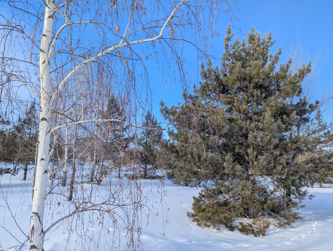 Зима - Андрей Хлопонин Зима - Андрей Хлопонин