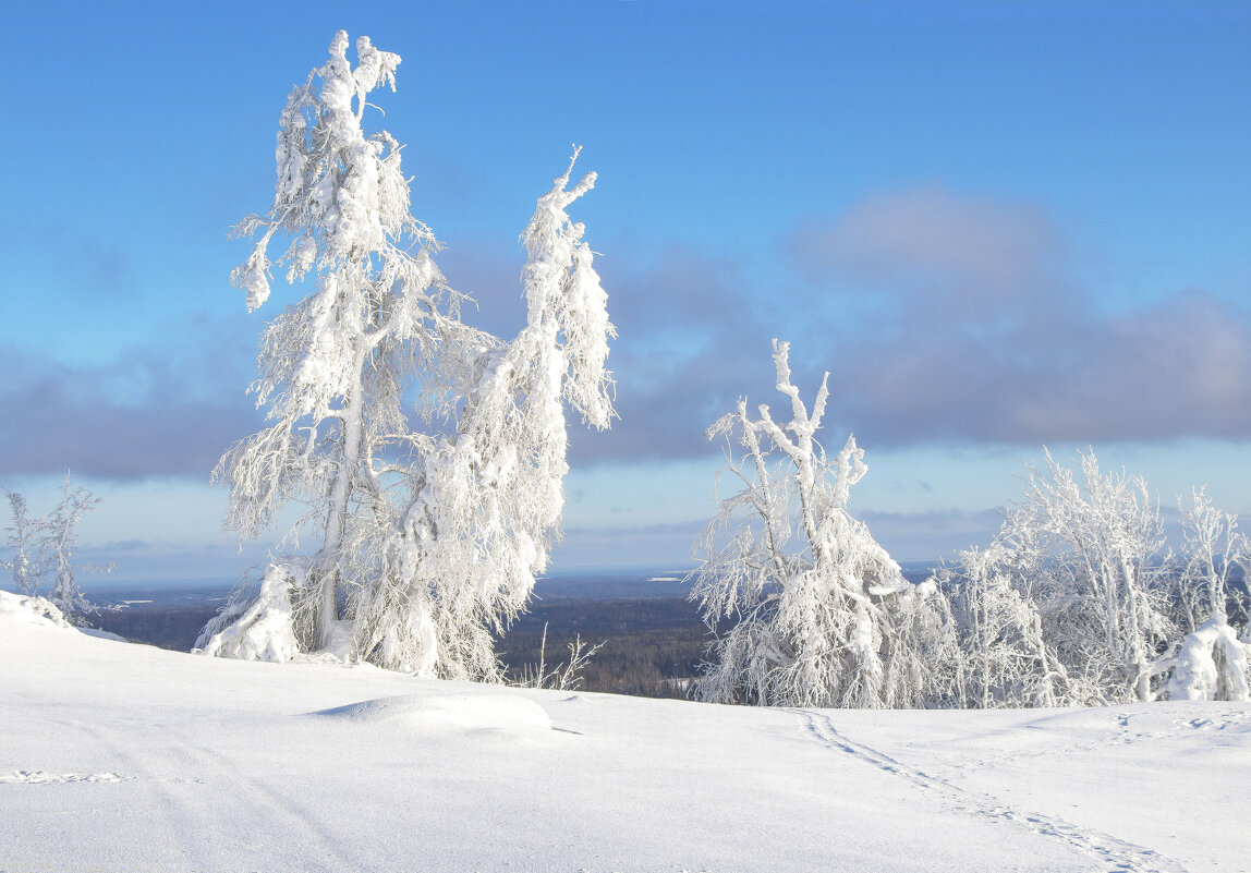 На Белой горе - Галина Новинская