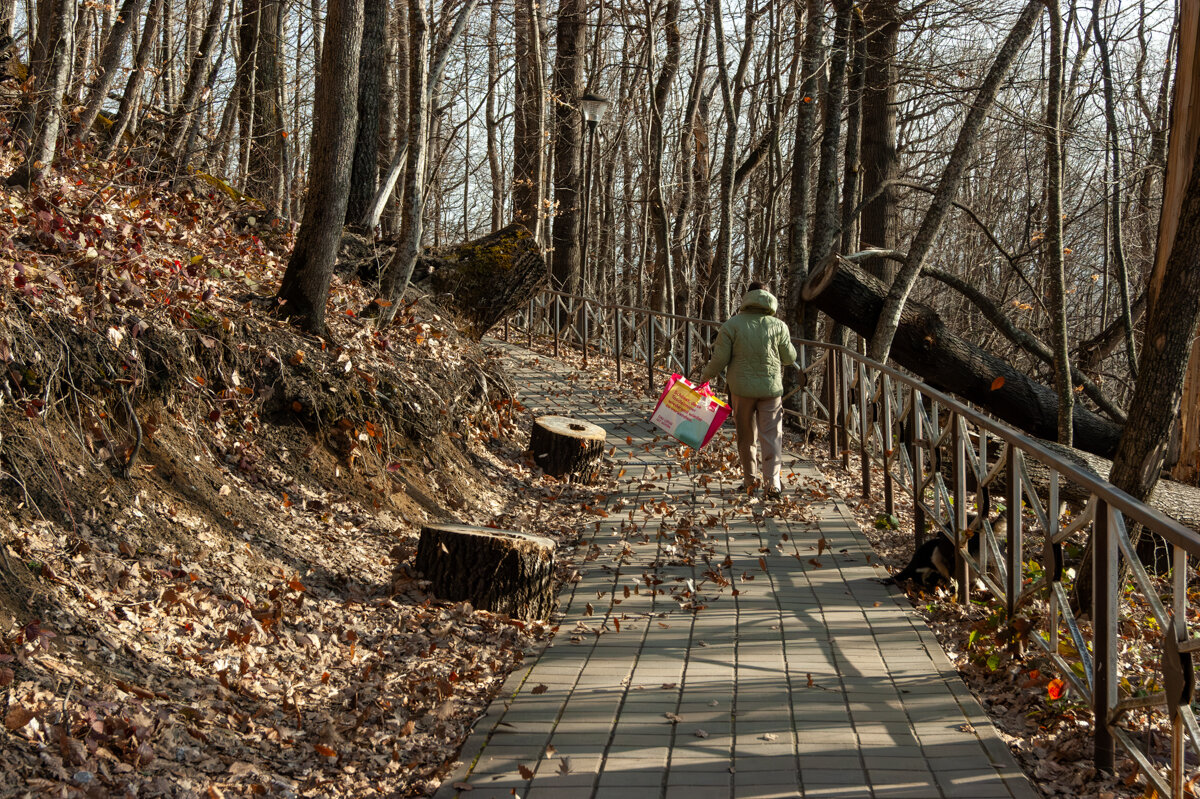 Подъем на гору Фиэиабго к святому источнику, Высота горы 992 метра - Игорь Сикорский Подъем на гору Фиэиабго к святому источнику, Высота горы 992 метра - Игорь Сикорский