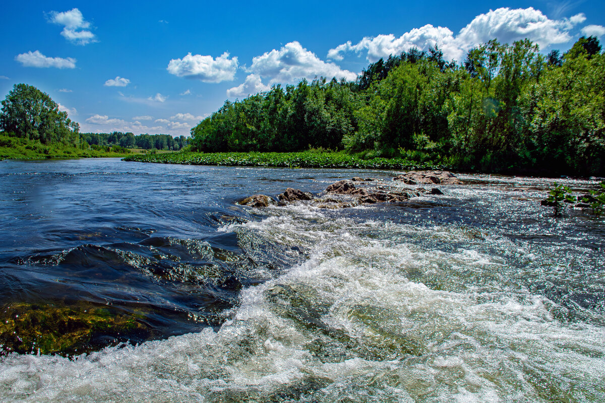 РЕКИ - Владимир Мигонькин
