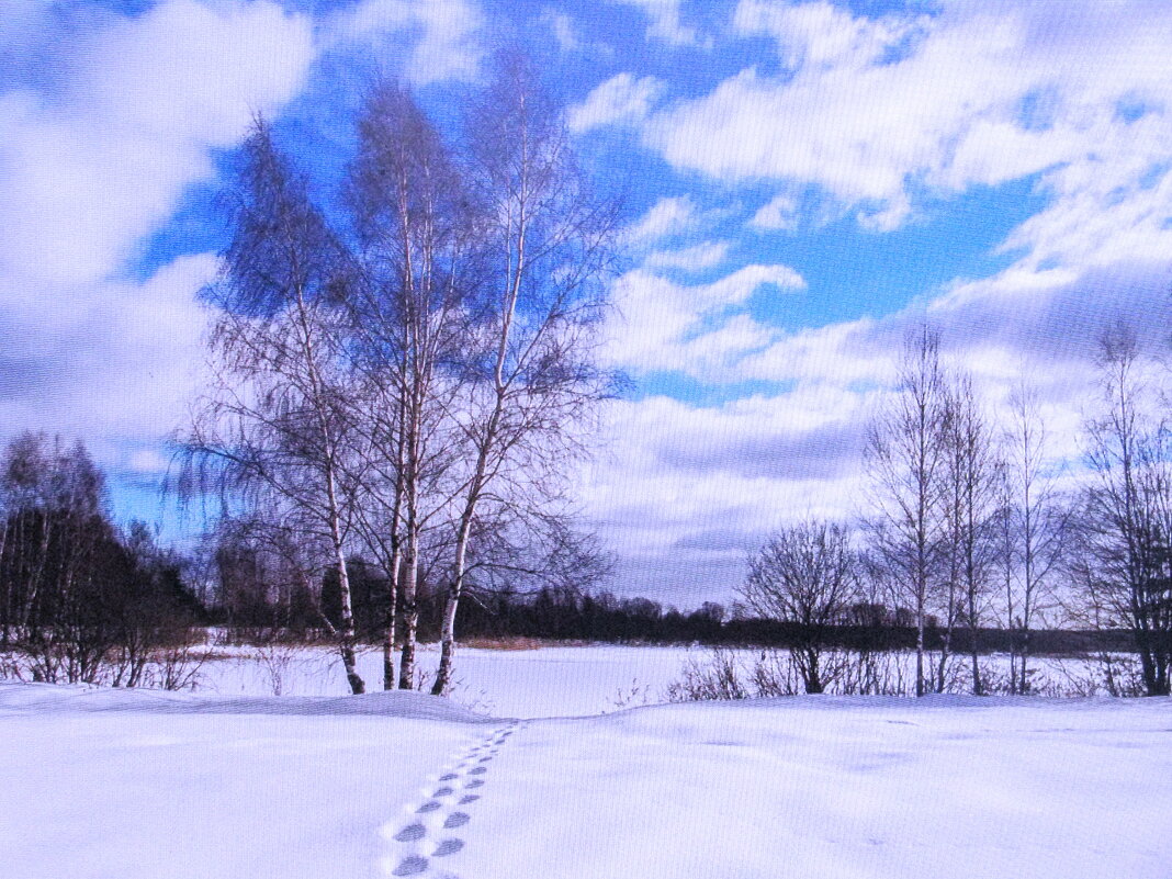Красивый денёк - Людмила Смородинская