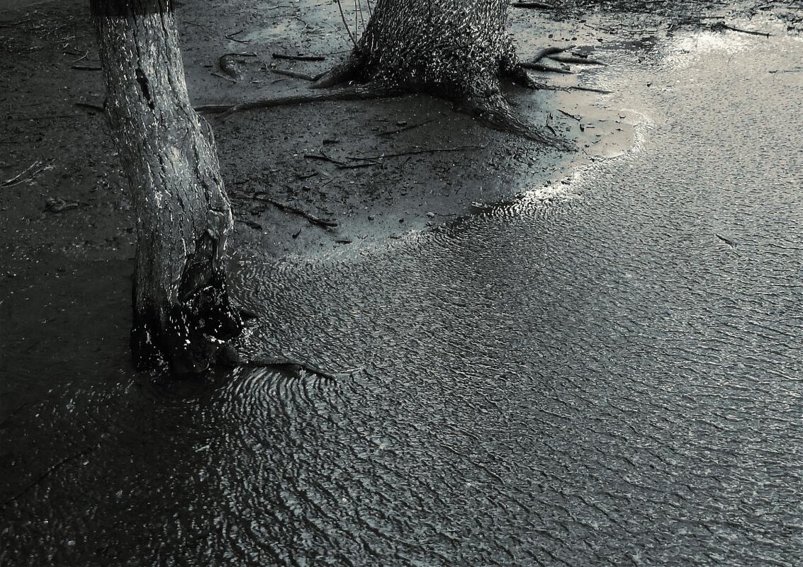 теплый ветер - Николай Семёнов