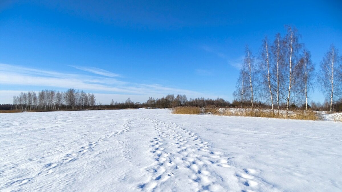 Смоленске озёра. - Милешкин Владимир Алексеевич 
