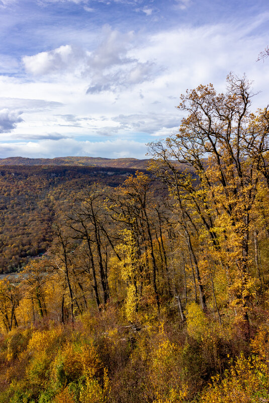 *** - ирина )))