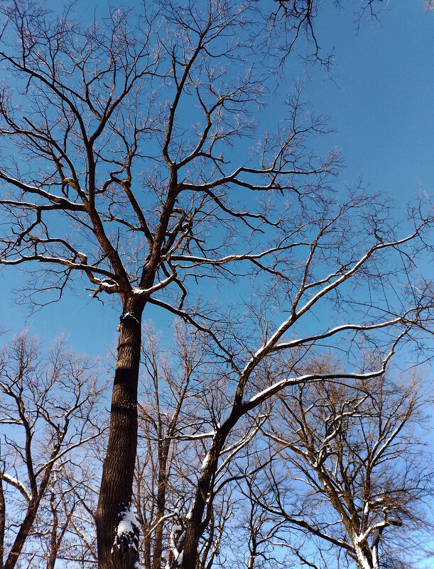 *** - Валентина Береснева