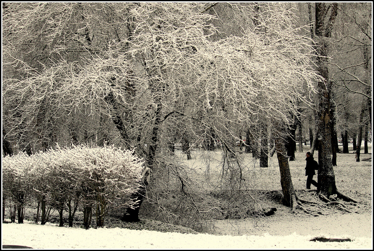 Зимний парк - Aleksandr Gal Зимний парк - Aleksandr Gal