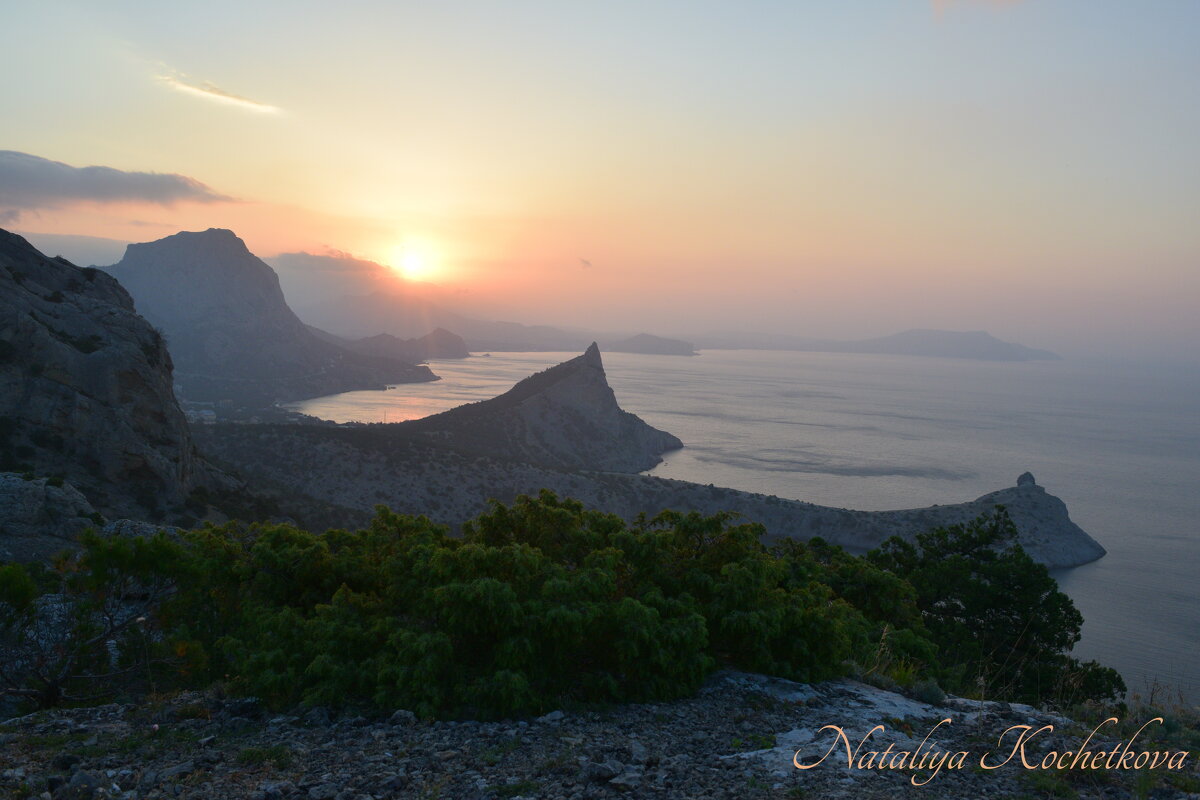 Природа Крыма - Amazing Cosmea