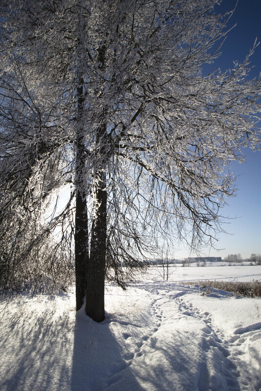 У озера. - Николай 