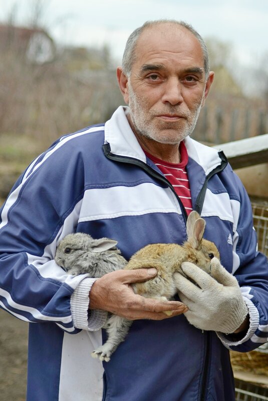 Акоп джан и кролики. - Михаил Курзанцев