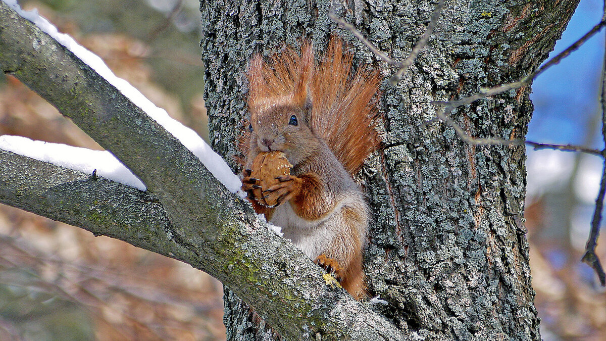 Вкусненько! - Alexandеr P