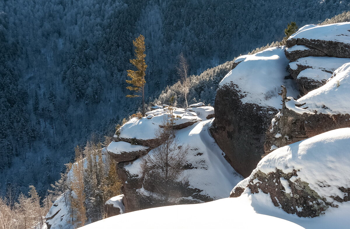 Воробушки - Марина Фомина. Воробушки - Марина Фомина.