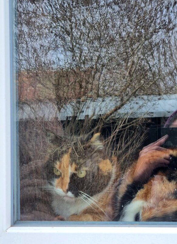 За окошком - Наталья За окошком - Наталья