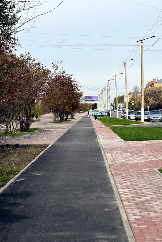 Проспект Неплюева - Дарья Шуклина