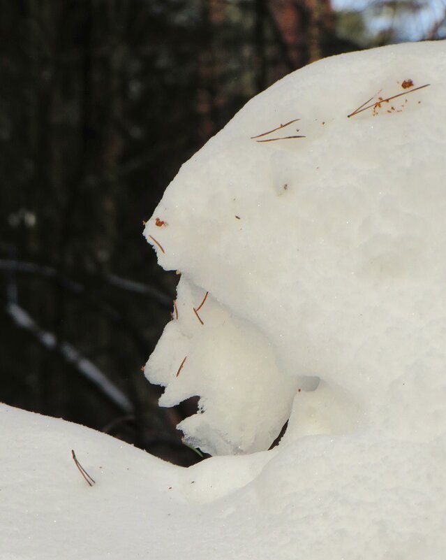 Зимний профиль - Андрей Снегерёв