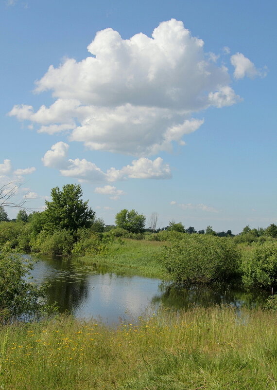 У заводи. - Сергей Рожков