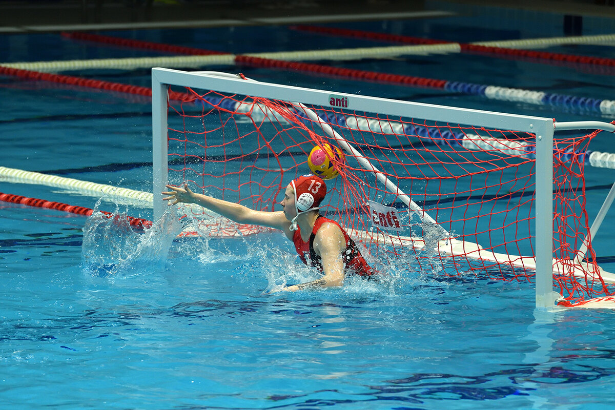 Работа Вратаря! - Александр Гриднев