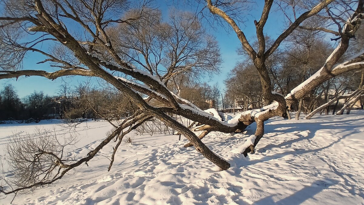 Петергоф. Ольгин пруд - Наталья Герасимова