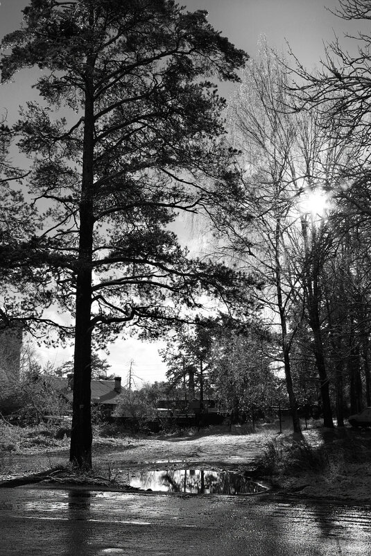 Ранней весной - Наталья 