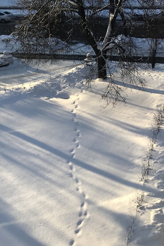 "...по снегу доберутся ко мне твои следы" - zavitok * "...по снегу доберутся ко мне твои следы" - zavitok *
