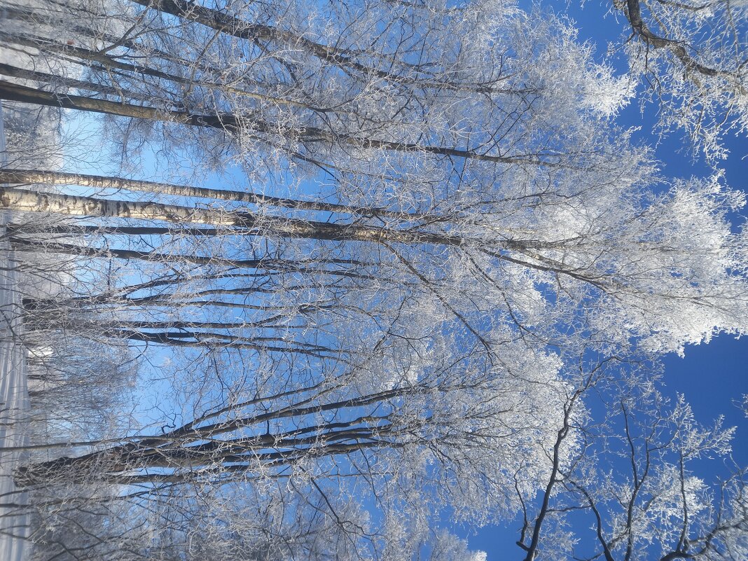 Изморозь - Сапсан 