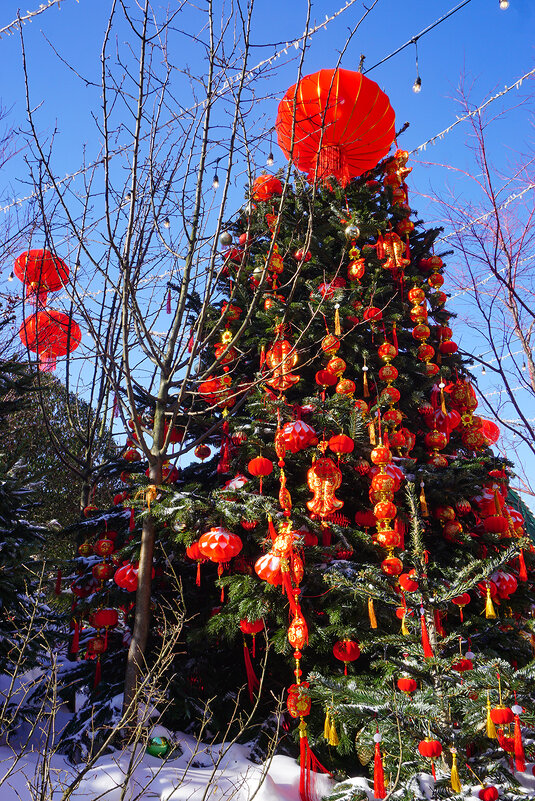 Китайский Новый год - Ольга Китайский Новый год - Ольга