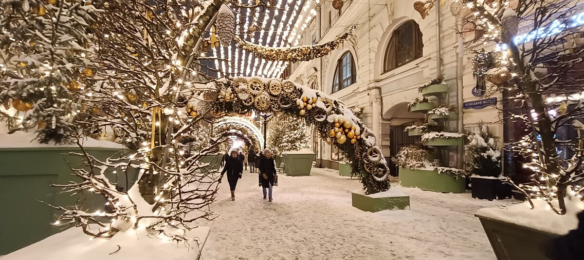 зима в Москве - Галина R...