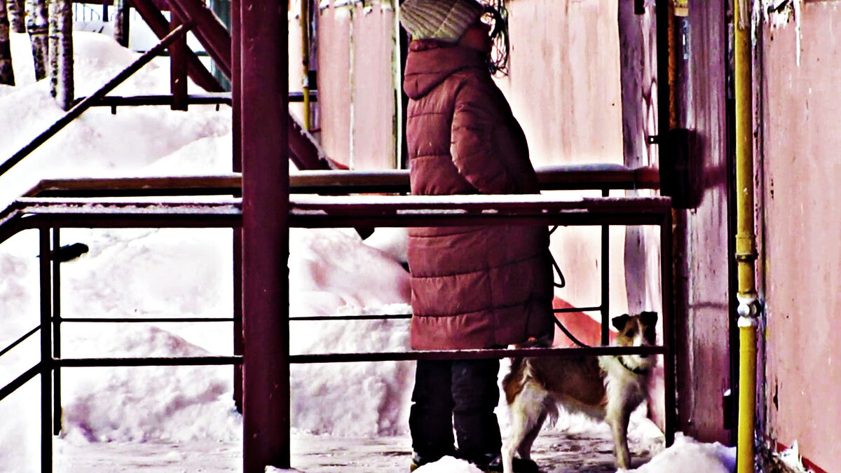 Домой с песиком после прогулки! - Владимир 