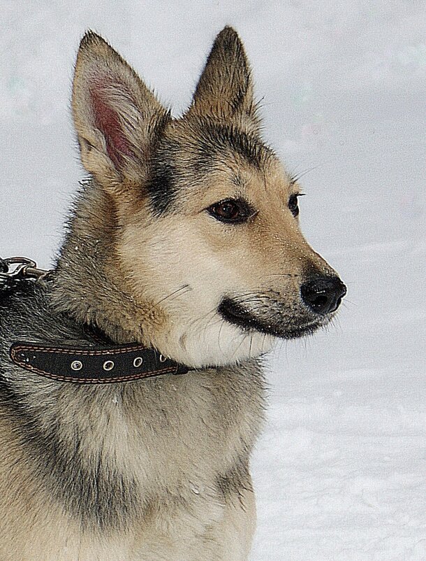 Встреча в парке - Галина Нестратова