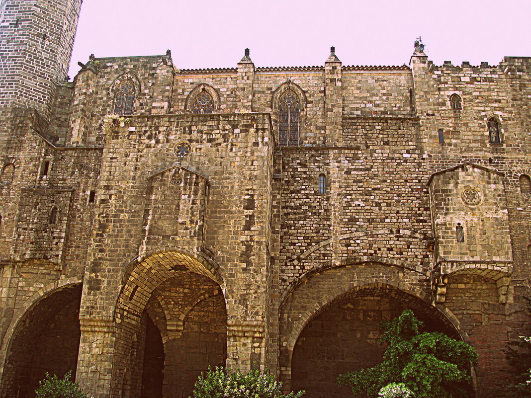 Барселона. - Владимир Драгунский