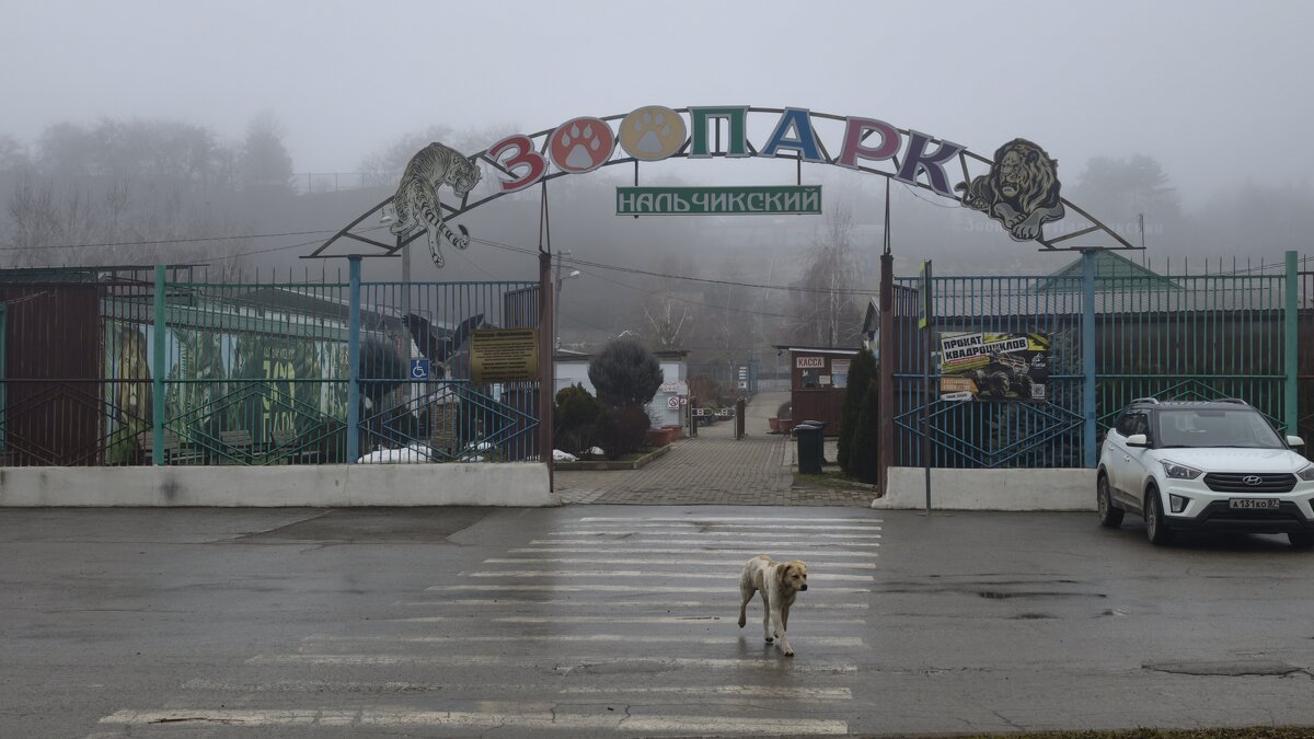 Зоопарк в Гальчике - Мариша Зоопарк в Гальчике - Мариша