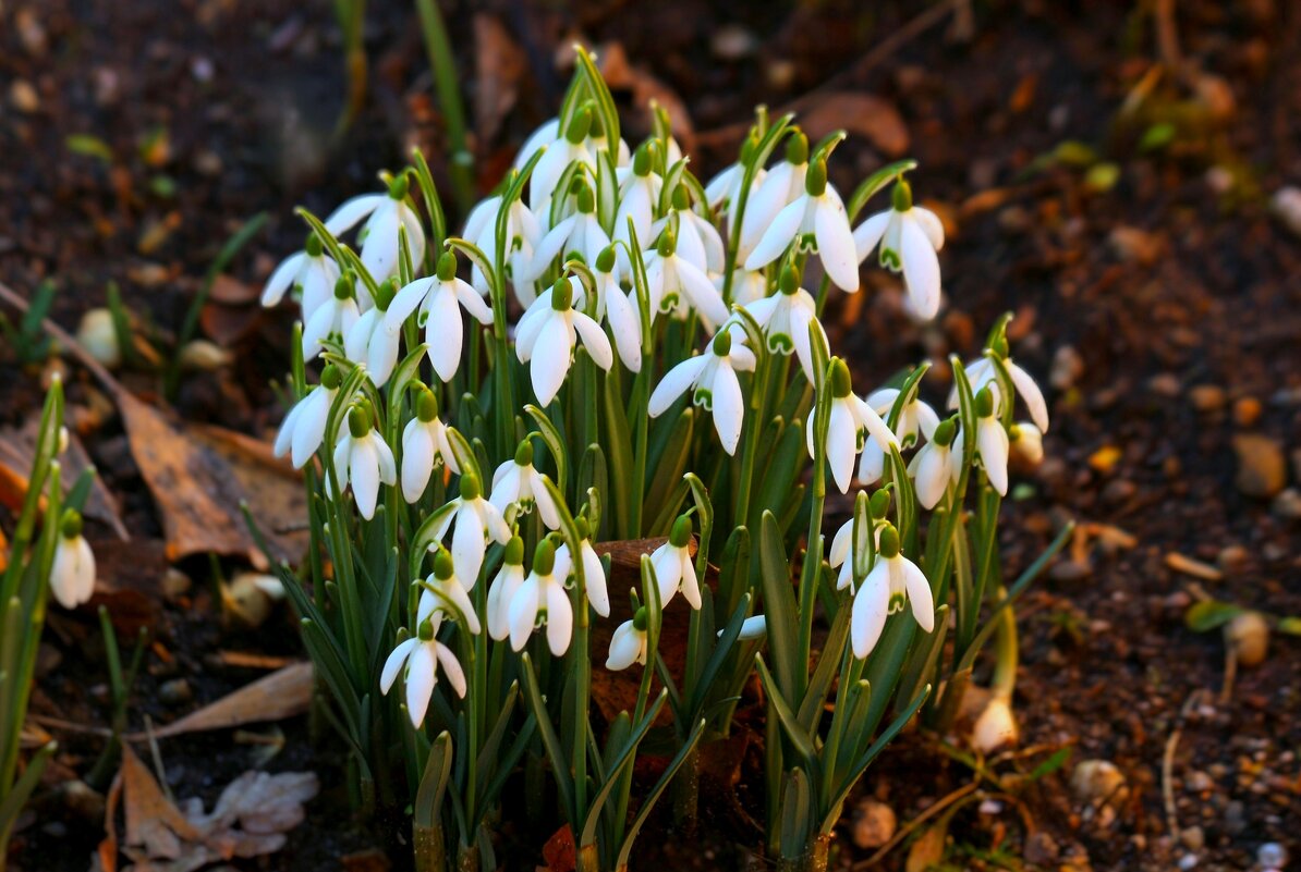 Доброе утро - Юрий. Шмаков