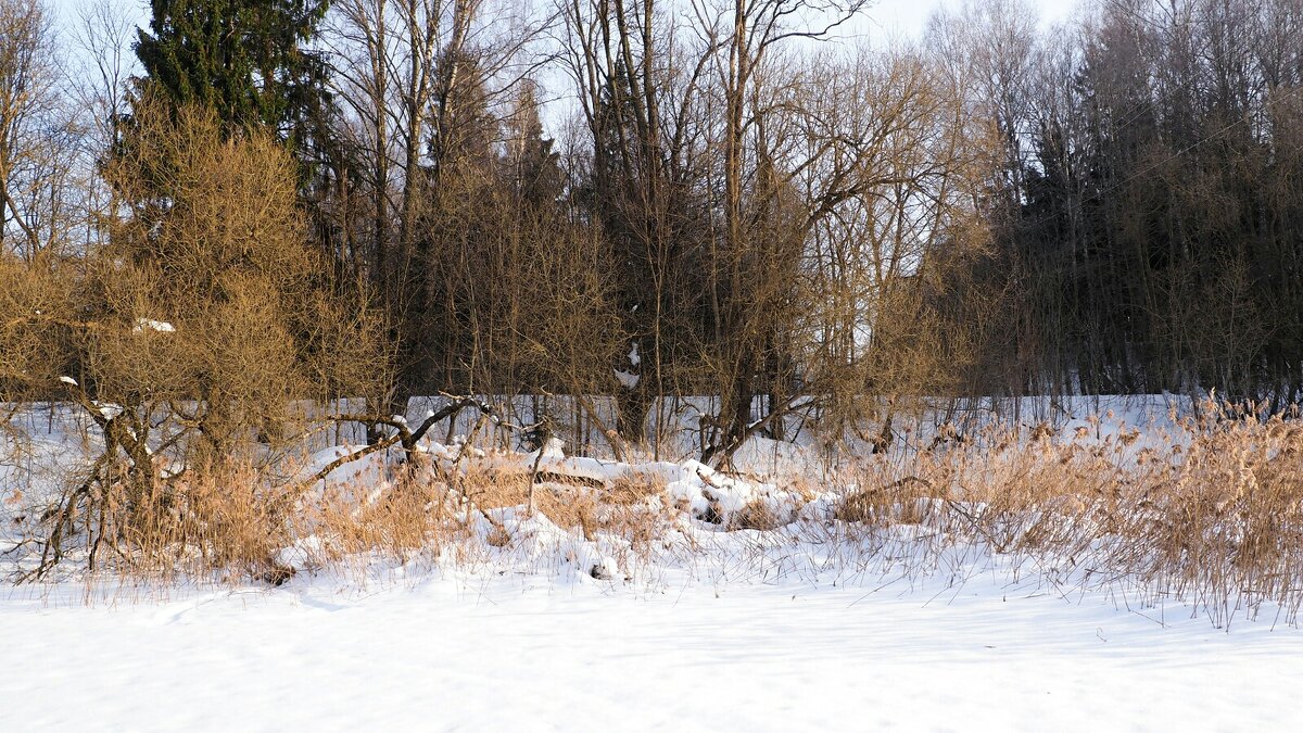 Февраль - Милешкин Владимир Алексеевич 