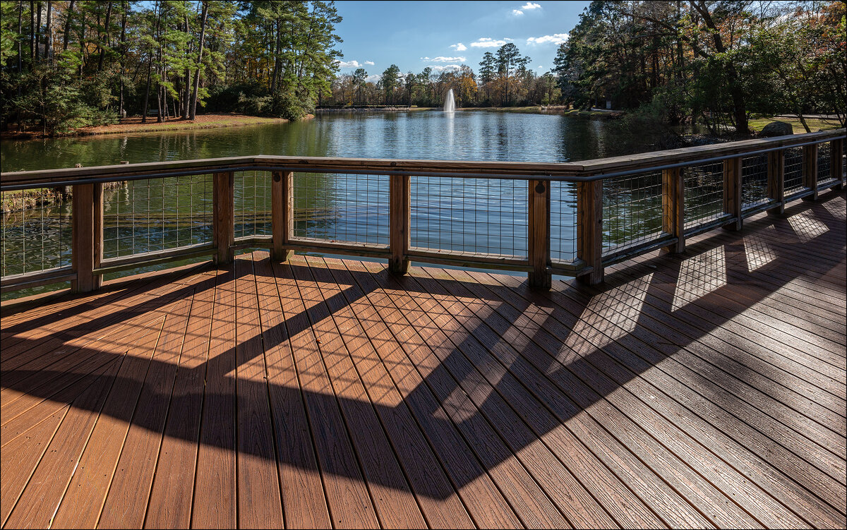 Пруд - **** vedin