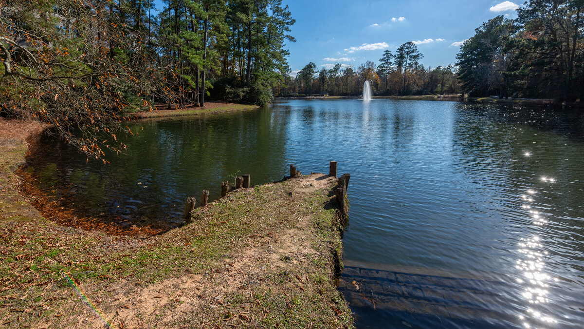 Пруд - **** vedin