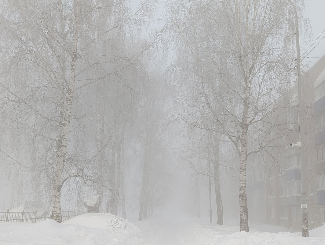 Туманное зимнее утро - Анастасия Логинова Туманное зимнее утро - Анастасия Логинова
