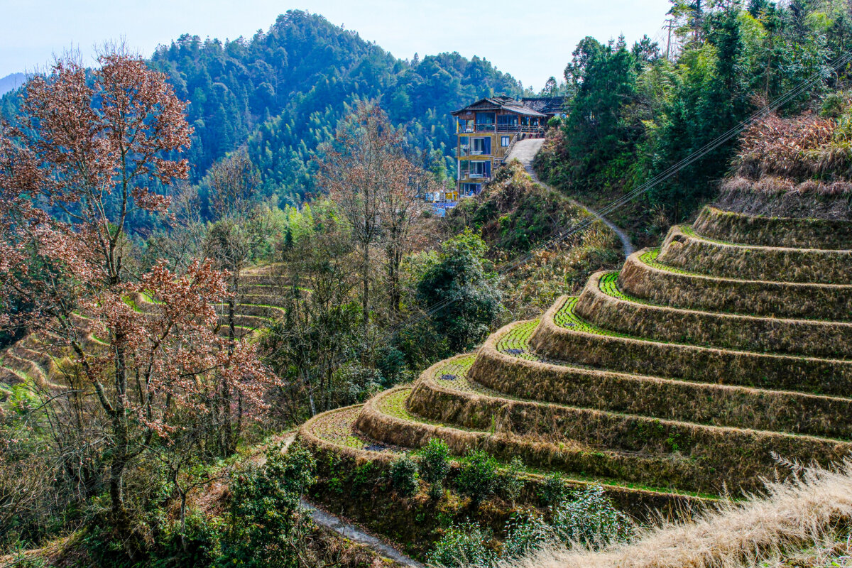 Террасные рисовые поля - Георгий А
