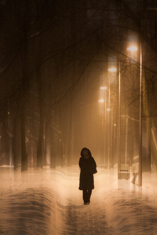 Зимний вечер - Игорь Шевченко