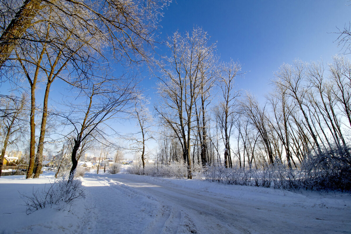 Иней. - Николай 