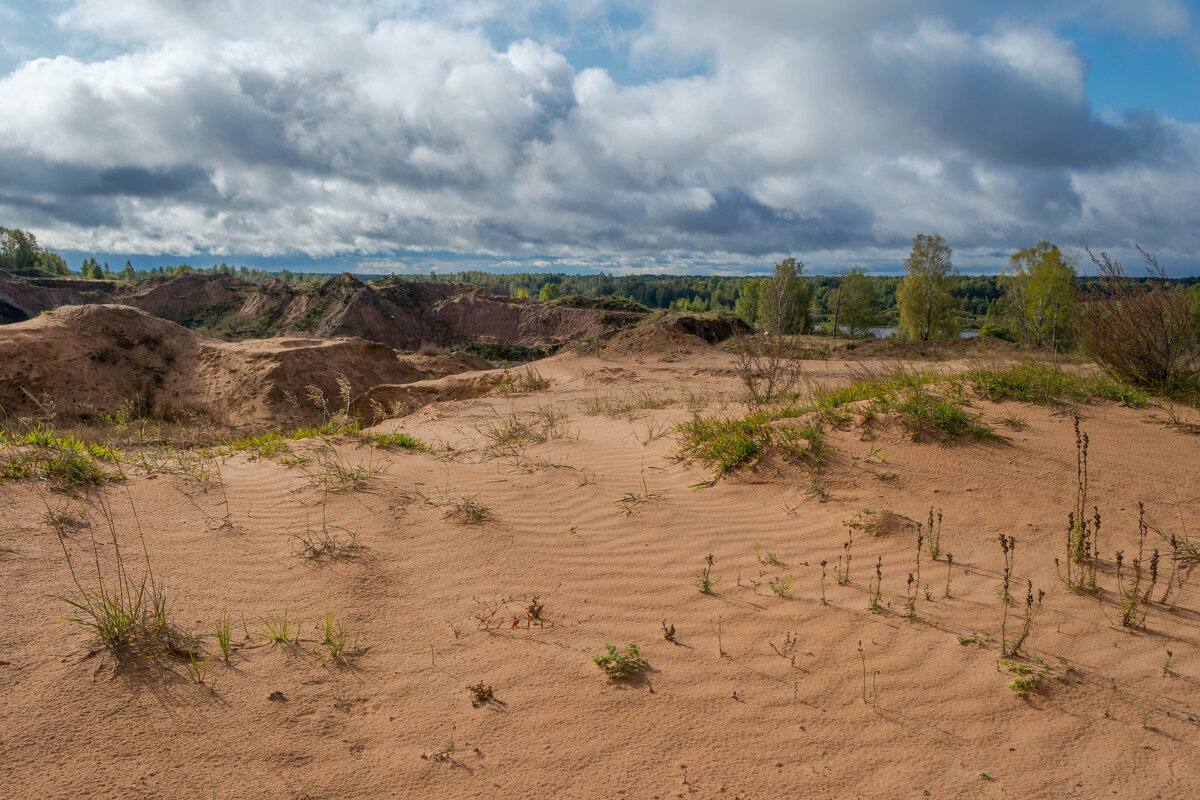 На берегу реки Волхов - Владимир Жуков